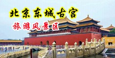 黄色无毒内射网站中国北京-东城古宫旅游风景区